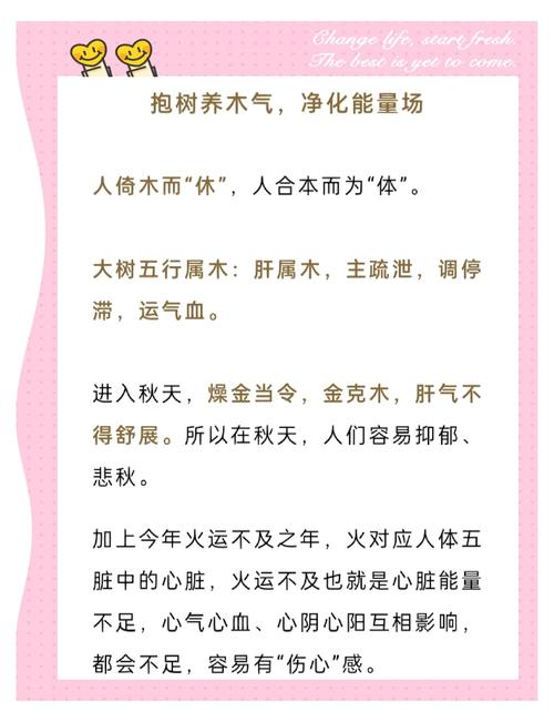 下载中心 第13页