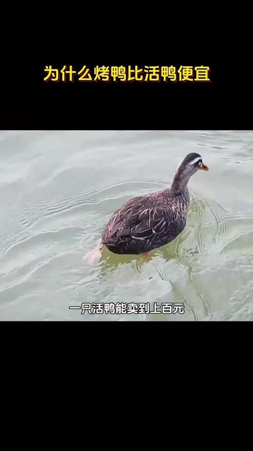 新闻中心 第7页
