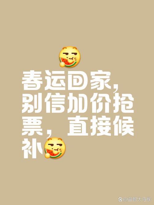 没抢到车票报团回家,没抢到回家的票